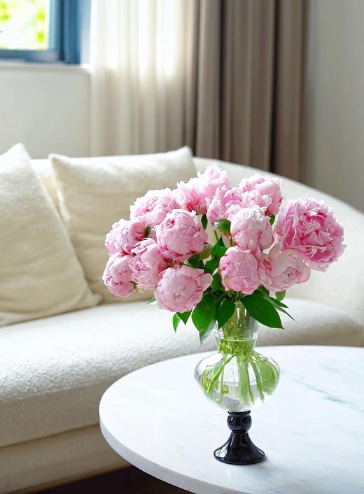 中古风鎏金粉高脚法式透明风灯花瓶鲜花餐桌台面居家装饰玻璃瓶 商品图0