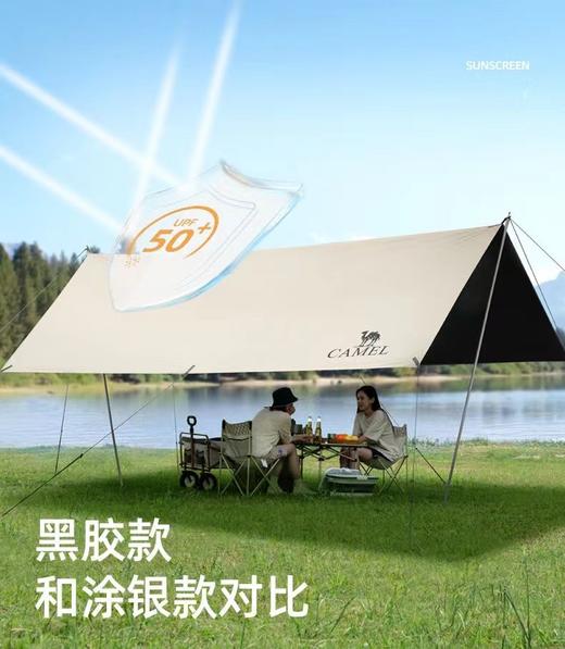 黑胶天幕 商品图1