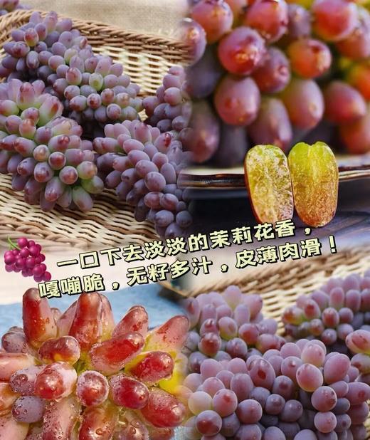 云南诸小沃茉莉香紫罗兰.无籽提 果园现摘现发 新鲜到家 商品图3