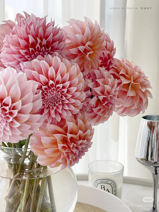 国产花材-【奶油桃子】 商品图0