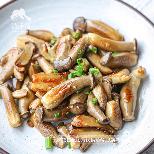 生态鹿茸菇 | 绿家自产 * Ecological mushroom | In-House Production 商品图2