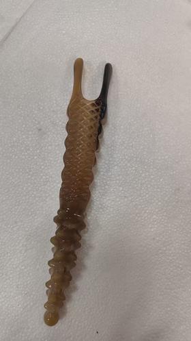 白水按摩狗