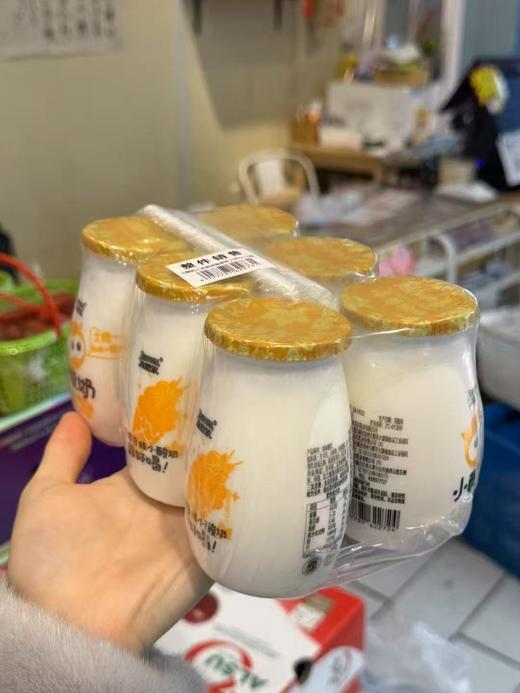 来思尔酸奶4个口味 商品图2