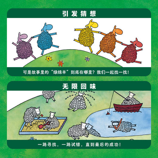 海豚绘本花园绿绵羊在哪里？平装 2-4-6岁儿童绘本故事书点读版 商品图4