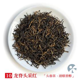 「蓝蜜蜂·红茶」龙脊头采红