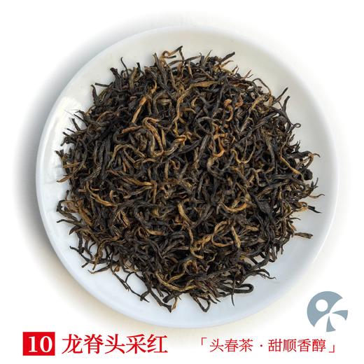 「蓝蜜蜂·红茶」龙脊头采红 商品图0