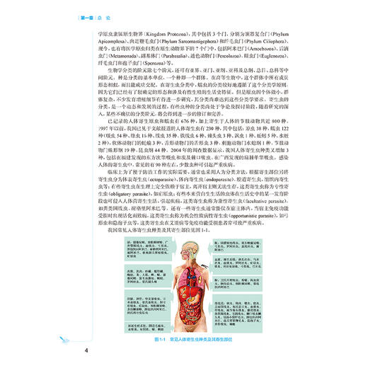 临床寄生虫学检验技术 十四五规划教材全国高等学校教材 郑峻松 主编 供医学检验技术专业用 9787117376747 人民卫生出版社 商品图4