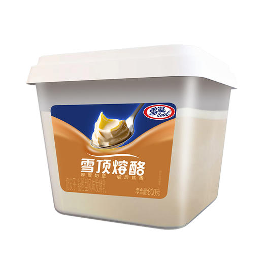 【自提-低温】雪凝炭烧奶皮子酸奶800g 商品图0