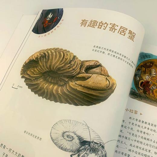 【独秀书香卡】走进奇妙的大自然：疯狂的恐龙和古怪的化石 7-12岁 青少年读物 儿童科普 商品图6