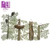 预售 【中商原版】当一棵树倒下时 When a Tree Falls 英文原版 儿童科普知识绘本 探索自然图画书读物 进口童书 精装 6岁以上 商品缩略图3