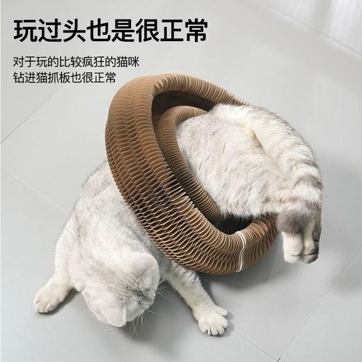 魔术风琴抓板可折叠网红可爱玩具猫爪陶球玩具3d不掉屑逗猫咪趣味 商品图1