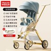 飞鸽遛娃神器轻便折叠景观手推车 商品缩略图2