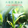 茶马世家丨龙井茶 早春头采 绿茶 特级 罐装 50g 商品缩略图4