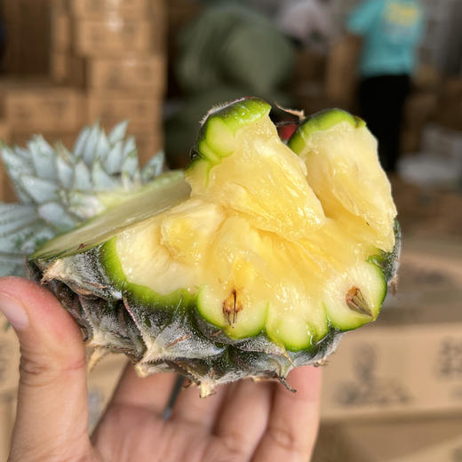 海南手撕凤梨 | 自然成熟，汁水饱满，相比其他凤梨来说甜度要好，比较稀有 商品图2