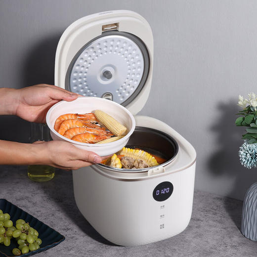 大宇 智能电饭煲DYFB-503L【JKYGH51 3.0】 商品图3
