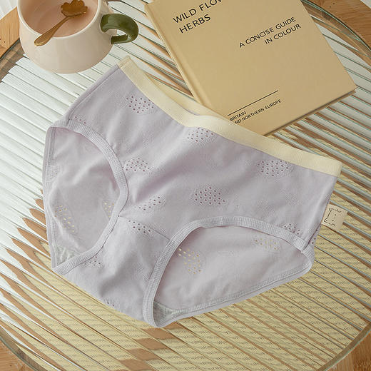 【YW】无忧购5条装纯棉网眼透气中腰内裤Y06(预售3-7天发货) 商品图8