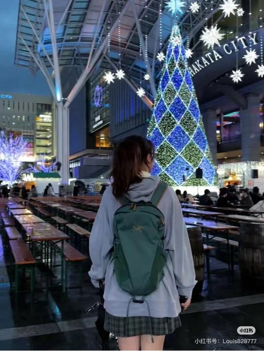 【五一出行必备】鸟家运动户外登山双肩包16L系列减负双肩背包 商品图10