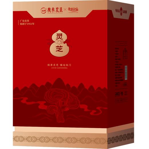 【自营】25年灵味小仙 金边灵芝 998型 广东农垦灵芝 商品图1