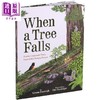 预售 【中商原版】当一棵树倒下时 When a Tree Falls 英文原版 儿童科普知识绘本 探索自然图画书读物 进口童书 精装 6岁以上 商品缩略图1