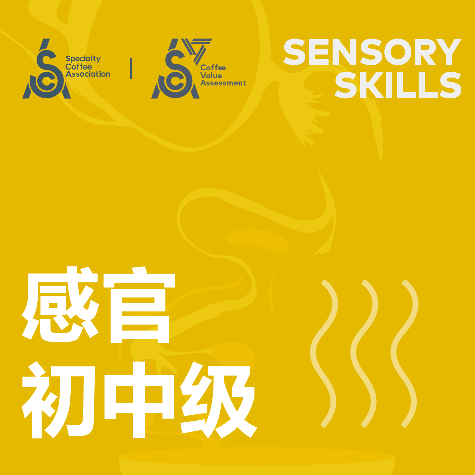 大连-SCA咖啡感官中级国际认证课程