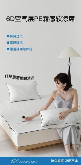 顶柔3Dmax高分子软席（床笠款）LX7079