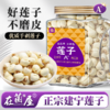 在菌屋 正宗建宁莲子250g/400g 手工去芯 颗颗饱满 肉质细腻嫩滑 久煮不散 商品缩略图0