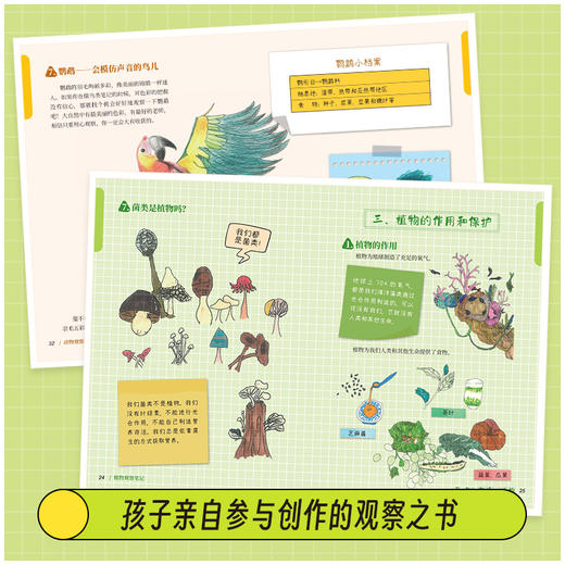 （动物+植物）观察笔记（全2册） 商品图4