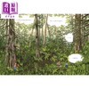 预售 【中商原版】当一棵树倒下时 When a Tree Falls 英文原版 儿童科普知识绘本 探索自然图画书读物 进口童书 精装 6岁以上 商品缩略图2