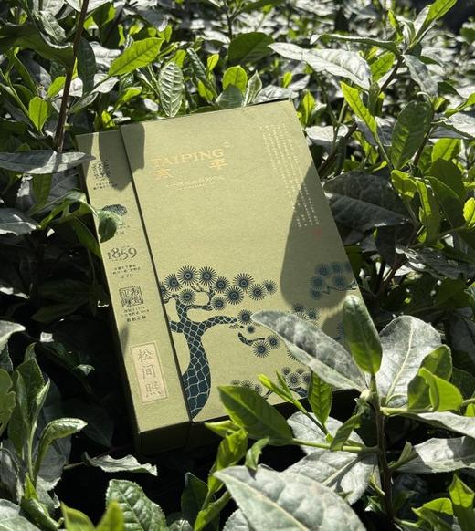 【一级松间照太平猴魁60g】匠心传承 手工捏尖 商品图2