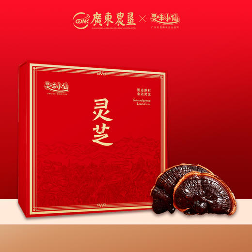 【自营】25年灵味小仙 金边灵芝 698型 广东农垦灵芝 商品图0