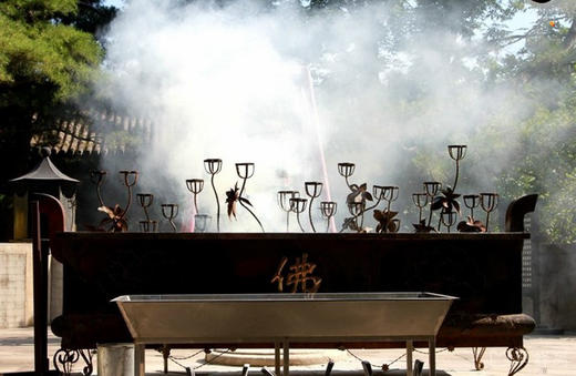 【潭柘寺1日】玉兰花开先有潭柘寺后有北京城の千年古刹-皇家寺院-戒台寺登山步道 商品图6