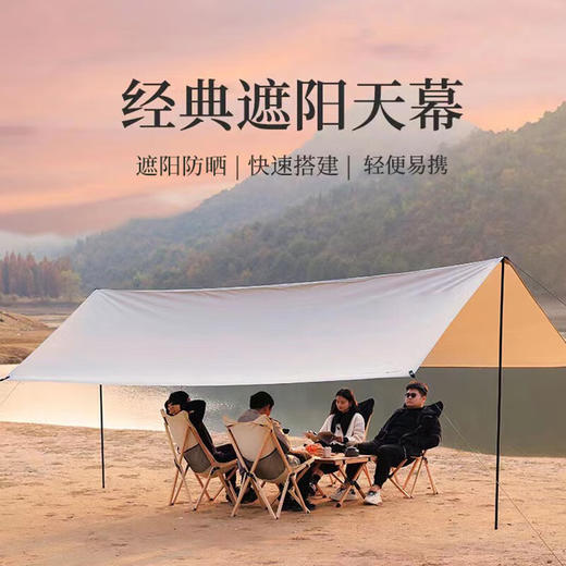 (分两个包裹发货）飞图乐 流沙金标配涂银天幕3*3mTM00 + 飞图乐青春绿折叠桌椅 三件套ZDZY0601【JKYGH51 3.0】 商品图3