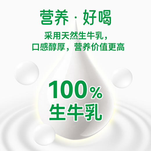 贵州遵义老字号纯牛奶200ml*10盒/箱 商品图4