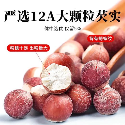 在菌屋 肇庆大颗粒芡实800g/罐 12mm以上饱满大果 皮棕红肉雪白 口感粉糯清甜 商品图1