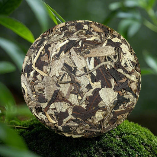 月光白茶叶批发云南古树白茶饼100克甜润回甘月光美人茶饼 商品图4