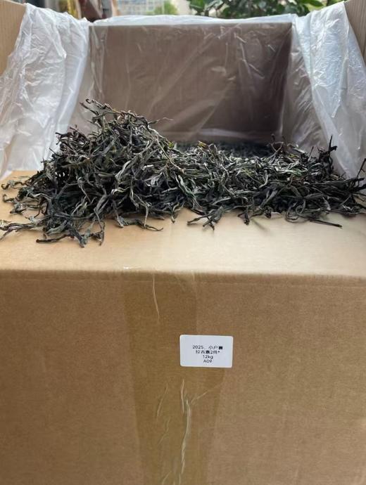 【2025年小户赛头春古树茶】不用冰岛的价格，也能享受冰糖甜 商品图7