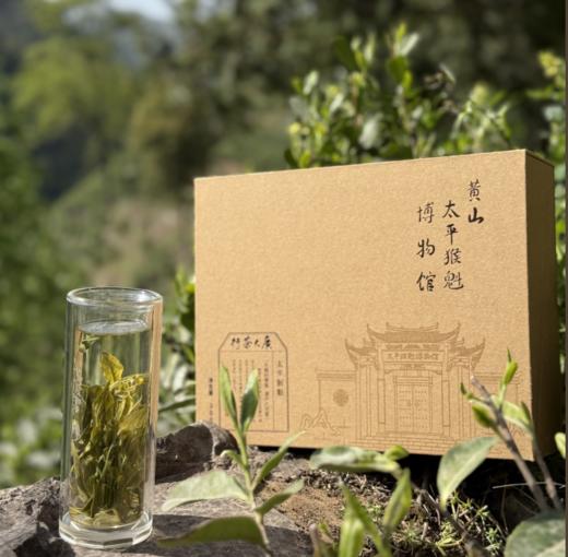 【极品太平猴魁博物馆款】色香味别具一格 商品图4