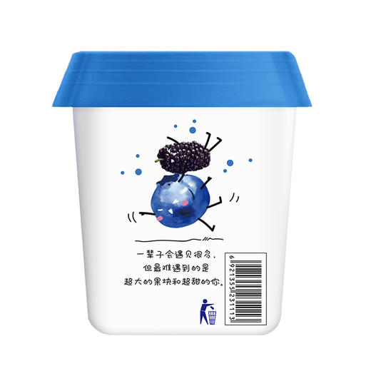 【25年12月积分兑换-低温】大果块桑葚+蓝莓风味酪乳260g*6 商品图2