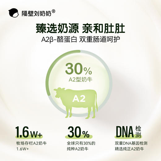 【秋田满满】隔壁刘奶奶重磅新品🔥🔥A2β酪蛋白低温益生菌酸奶 100g*3杯装 规格多选，BB12丹麦原产进口益生菌、皇室御用菌种 守护宝宝肠道健康护卫士 增强免疫力 商品图4