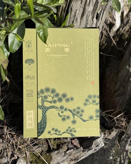 【一级松间照太平猴魁60g】匠心传承 手工捏尖 商品图4