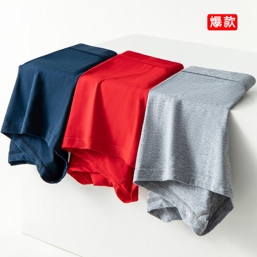 爆款🔥🔥🔥【戈宝红麻】GAUBAU罗布麻内裤 保健内裤男 高档平角抗菌内裤 透气宽松四角裤 商品图0