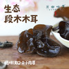 生态段木木耳（成都仓库-顺丰快递） | 100g/袋，来自四川巴中，生产者：龙芳荣【合作生产，公平贸易】 商品缩略图0