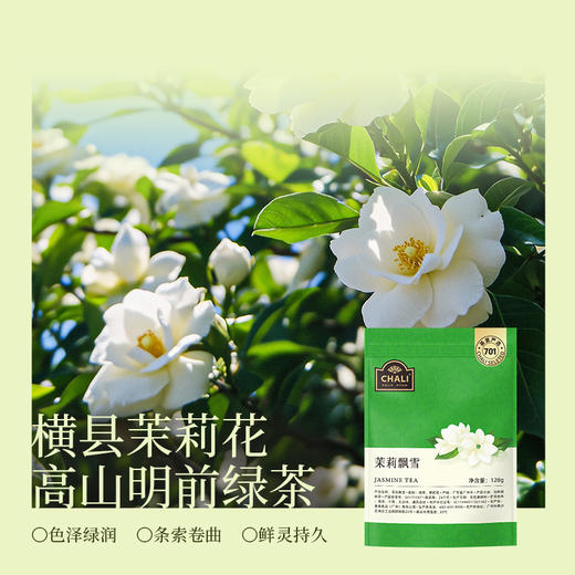 【三袋送盖碗】CHALI 鸭屎单丛 茉莉飘雪 栀香乌龙袋装原叶茶 商品图1