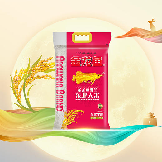 (分两个包裹发货）金龙鱼燕之坊  米面油挂面组合5L+16.6kg【JKYGH51 3.0】 商品图2