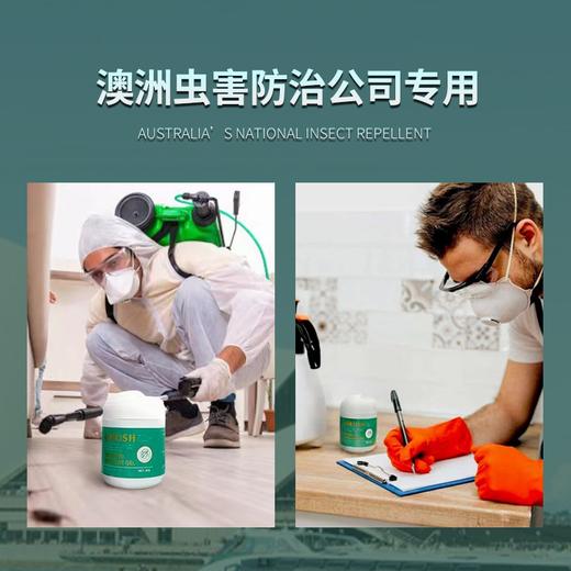 热卖！AIRUSH 除虫魔盒 除虫小绿盒 驱虫神器 简单便携 80g/盒 商品图4