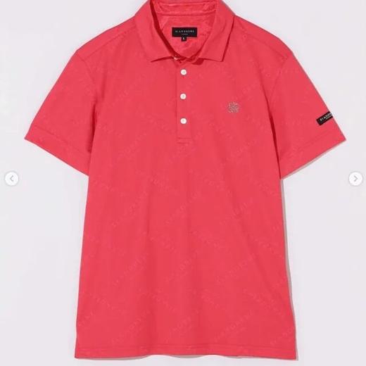 日本St ANDREWS高尔夫男装夏季吸汗速干翻领短袖T恤 商品图1