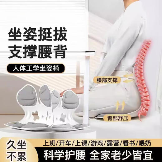 【多样屋专柜】西屋护腰矫姿坐姿椅 人体工学久坐神器靠背腰部支撑托办公室 绅士灰 商品图2