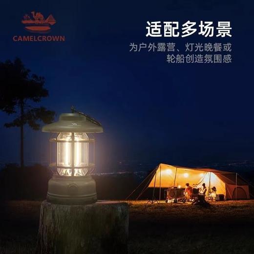 户外灯 商品图2