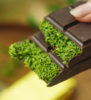 ISO CHOC/迪拜系列 商品缩略图0