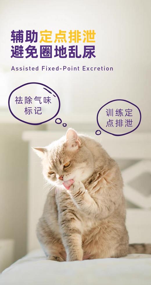 多美洁Urineoff解尿素狗猫尿除味剂生物酶宠物除臭剂除猫尿味喷雾 商品图2